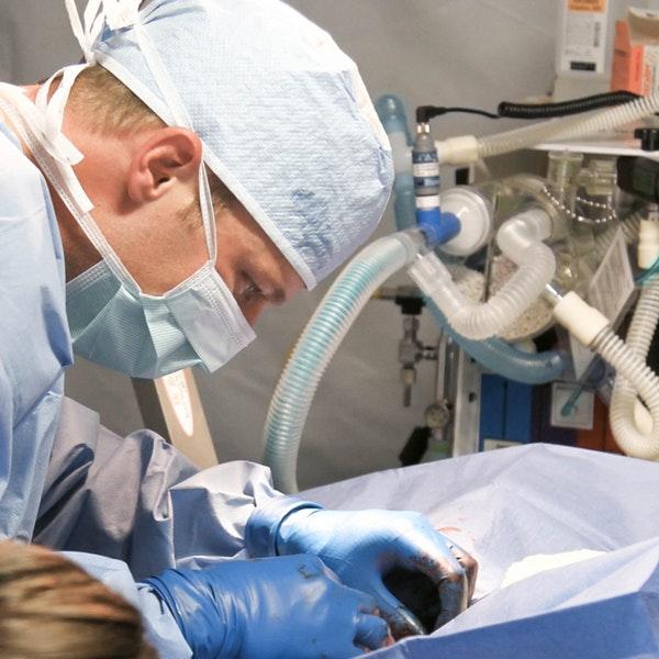 Anti-ageing treatment